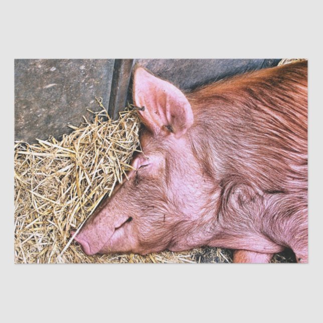 PAPEL DE SEDA PIG CUTO (Frente )