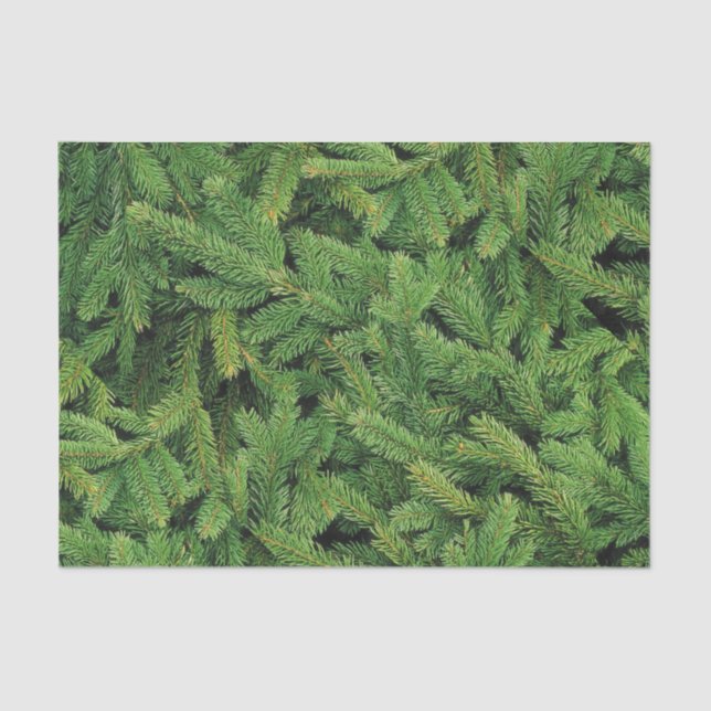 Papel De Seda Pine Blanket Paper (Frente )