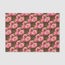 Pink Peony Flower
