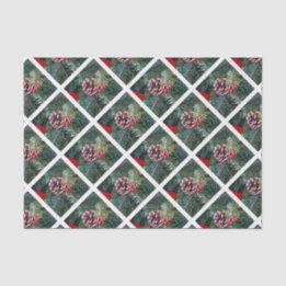 Papel De Seda Pino de Férias