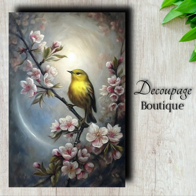 Papel De Seda Pintassilgo Dourado Decoupage (Golden Warbler Decoupage Tissue Paper)