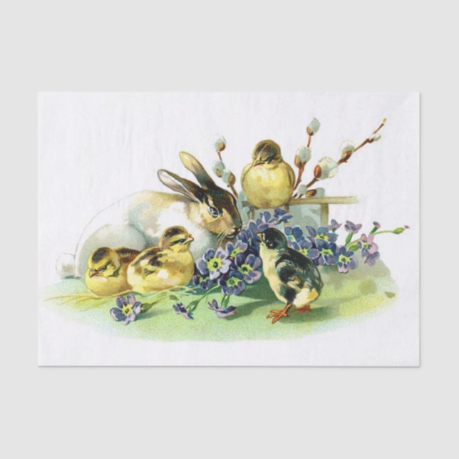 Papel De Seda Pintinhos e coelho (Frente )