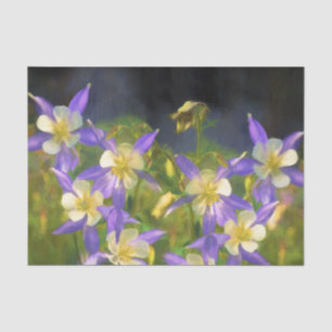Papel De Seda Pintura aquilégia azul de Colorado - arte origina