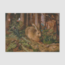 Pintura da Floresta Natural Hoffmann Hare