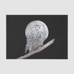 Papel De Seda Pintura de Moon e Coruja Neve - Arte de Pássaro O