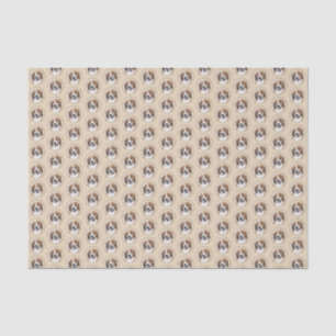 Papel De Seda Pintura De Nederlandse Kooikerhondje - Arte De Cã