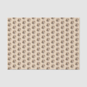 Papel De Seda Pintura em Coonhound Inglês Americano - Arte Canin