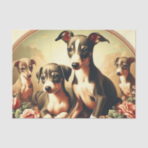 Papel De Seda Pintura em Greyhound Italiano, Cute Vintage