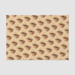 Papel De Seda Pintura em Kestrel Americano - Arte de Pássaro Or