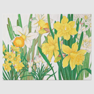 Papel De Seda Pintura em Xilogravura de Narciso