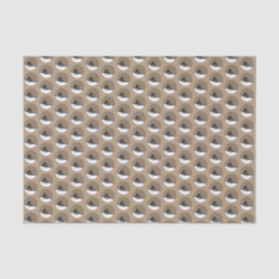 Papel De Seda Pintura Junco De Olhos Escuros - Arte Original De 