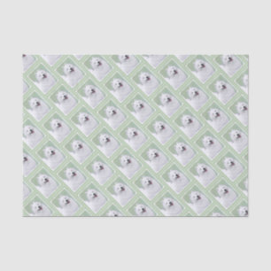 Papel De Seda Pintura Samoyed - Arte Cachorra Original