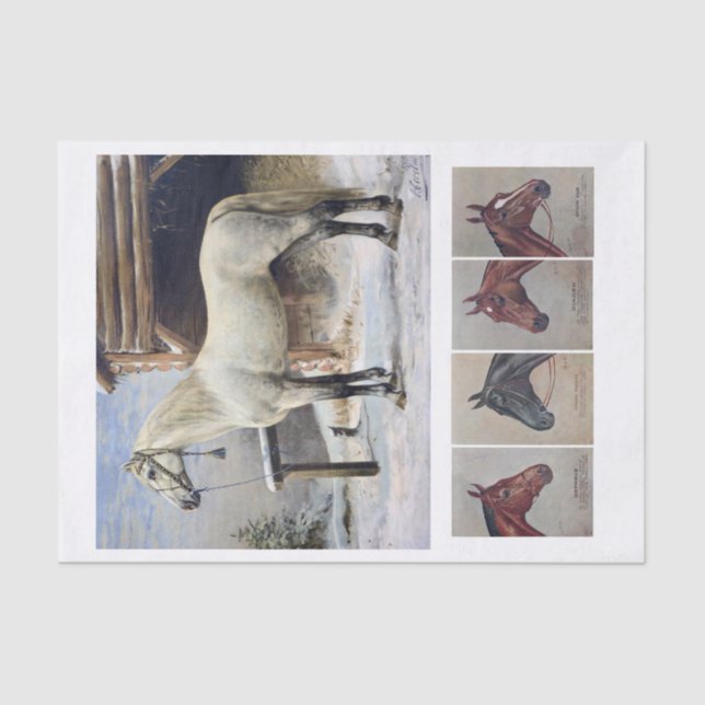 Papel De Seda Pinturas de Cavalo Genuíno (não AI) (Frente )