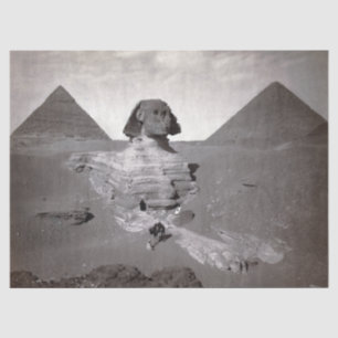 Papel De Seda Pirâmides de Sphinx e Giza do excelente Necropolis