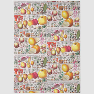 Papel De Seda Placa de Livro Botânico de Frutas Florais Antigas