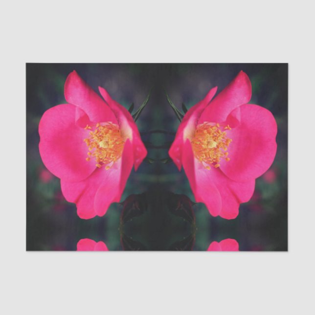 Papel De Seda Placas Rosa Rosa Rosa Vivas - Abstrato - Dissociaç (Frente )