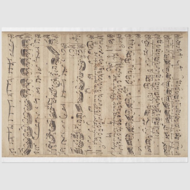 Papel De Seda Planilha de Diário de Lixo (Frente )