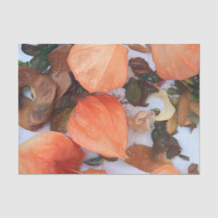 Papel De Seda Planta Lanternas Chinesas Laranja de Outono