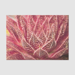 Papel De Seda Planta Suculenta de Cacto Vermelho Decoupage Botân