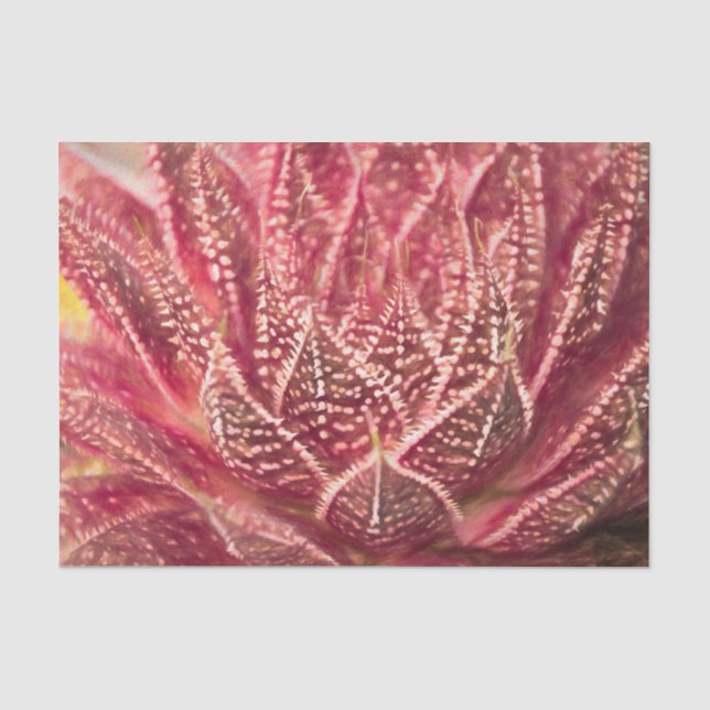 Papel De Seda Planta Suculenta de Cacto Vermelho Decoupage Botân (Frente )