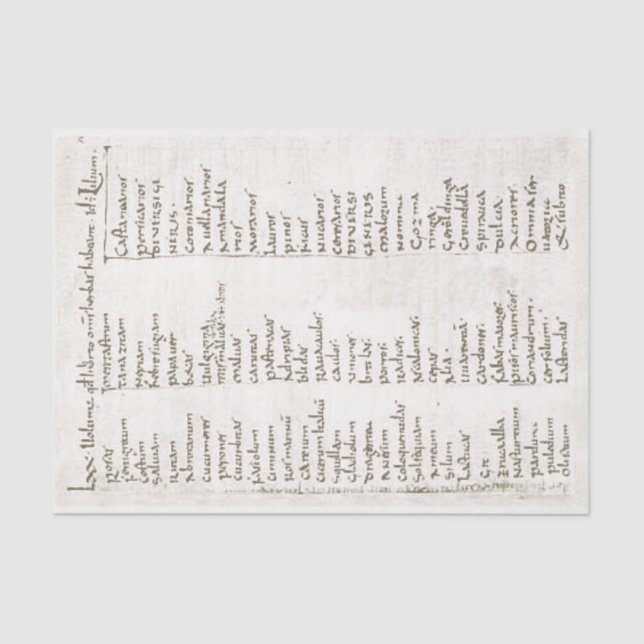 Papel De Seda Plantas de jardim do século VIII (Frente )