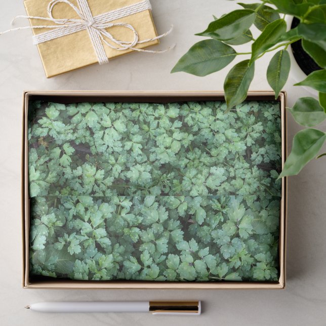 Papel De Seda Plantas Verdes primavera deixam Hanami pacífica (Presente)