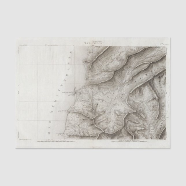 Papel De Seda Pneumático, Sidon, Israel (Frente )