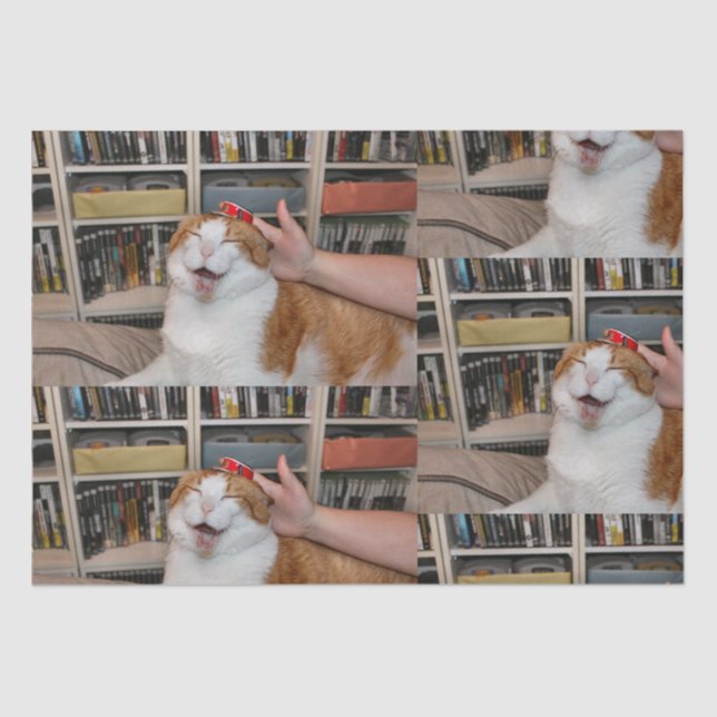 Papel De Seda Podgy Scarlett Wrapping Paper (Frente )