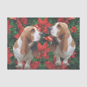 Papel De Seda Poinsétias do Natal de Basset Hound
