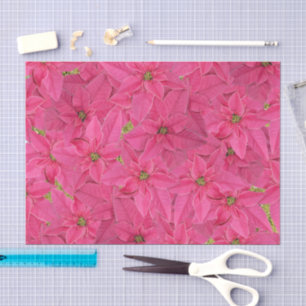 Papel De Seda Poinsettias cor de fúcsia, padrão floral