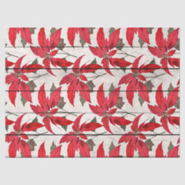 Papel De Seda Poinsettias de Natal na Desnuvem de Madeira