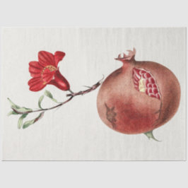 Papel De Seda Pomegranato de safra