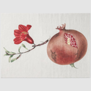 Papel De Seda Pomegranato de safra