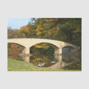 Papel De Seda Ponte do arco-íris em queda livre no Grove City Co