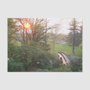 Papel De Seda Ponte do Arco-íris Sunset no Grove City College