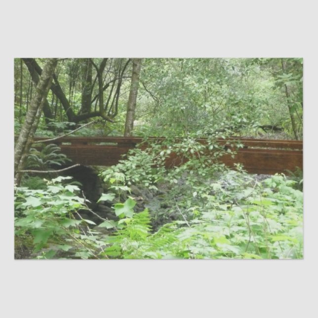Papel De Seda Ponte Muir Woods I (Frente )