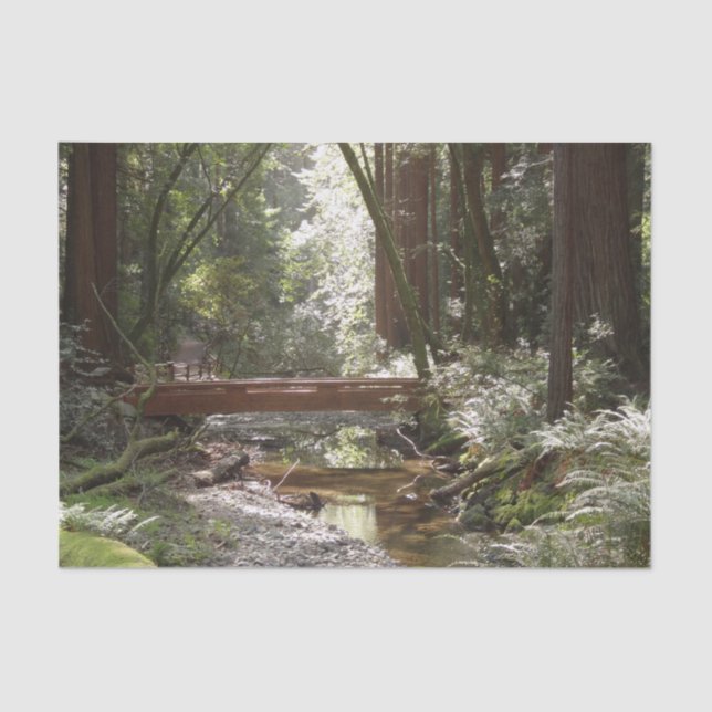 Papel De Seda Ponte Muir Woods II (Frente )
