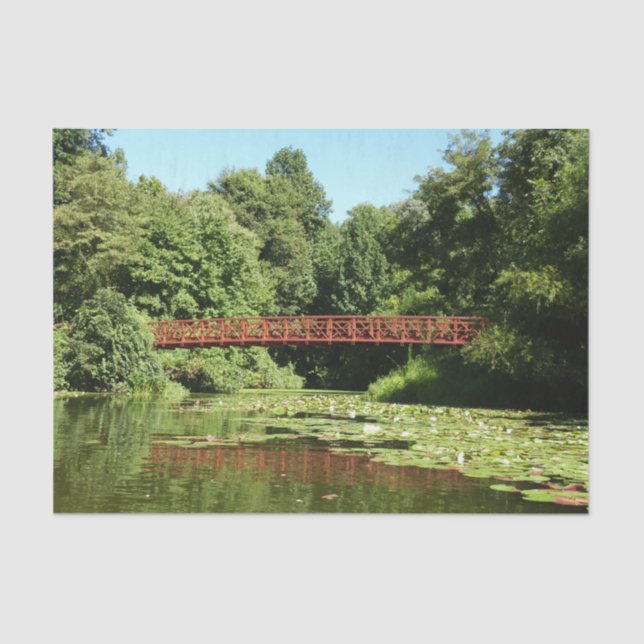 Papel De Seda Ponte no lago Centenário na cidade de Ellicott (Frente )