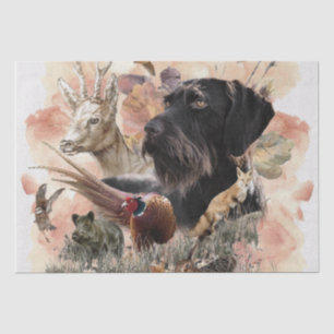 Papel De Seda Ponteiro alemão Wirehaired