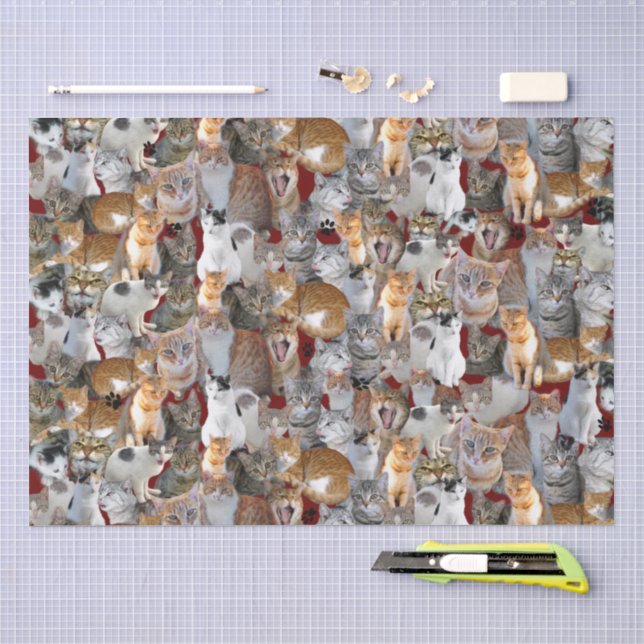 Papel De Seda Ponto de encontro de gatos - fofo (Arte )