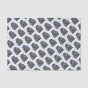 Papel De Seda Poodle Painting Miniature Toy Black