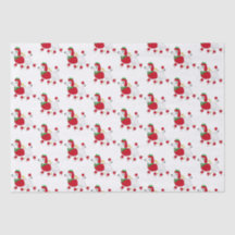 Poodle Vestido para os Feriados