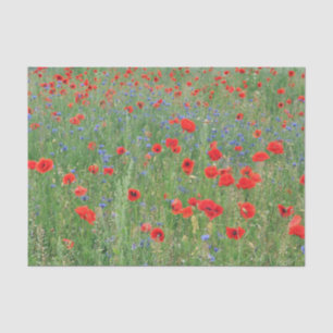 Papel De Seda Poppies num Cornfield
