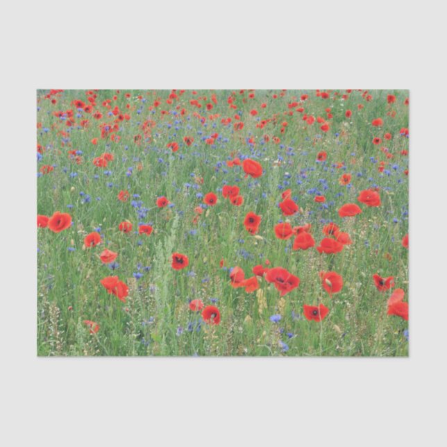 Papel De Seda Poppies num Cornfield (Frente )