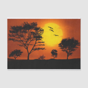 Papel De Seda Por do sol africano