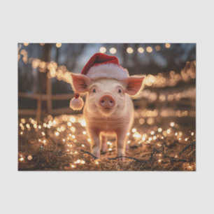 Papel De Seda Porco na desnute do Papai Noel