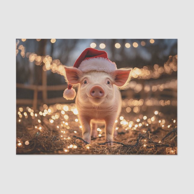 Papel De Seda Porco na desnute do Papai Noel (Frente )