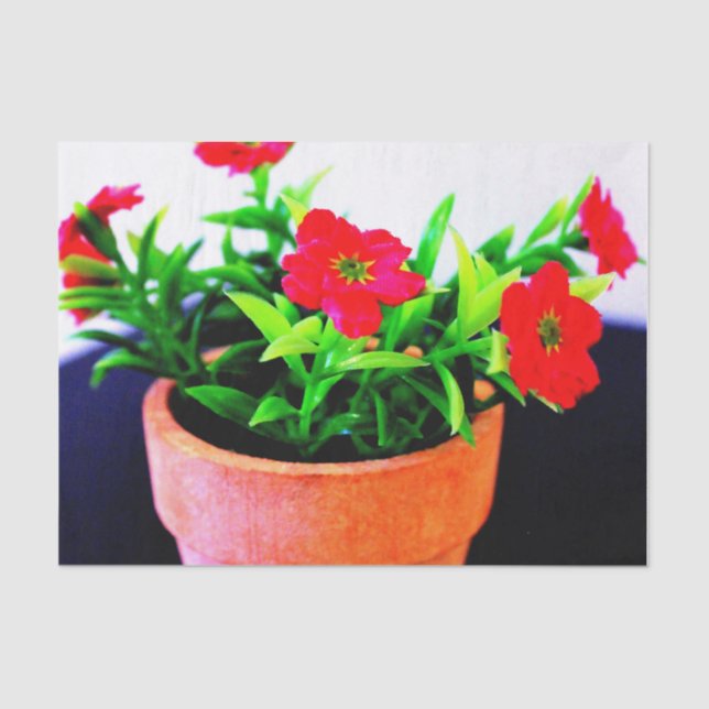 Papel De Seda Pote da ventoinha (Frente )