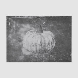 Papel De Seda Poumpkin Autumn Vintage Textura Preta E Branca