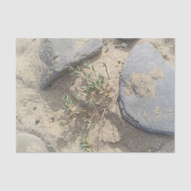 Papel De Seda Praia (Frente )